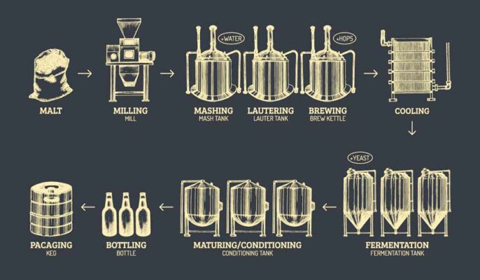 Beer fermentation process - Micet Craft