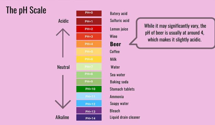 Acide dans la bière