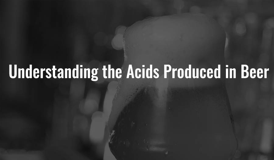 Understanding the Acids Produced in Beer