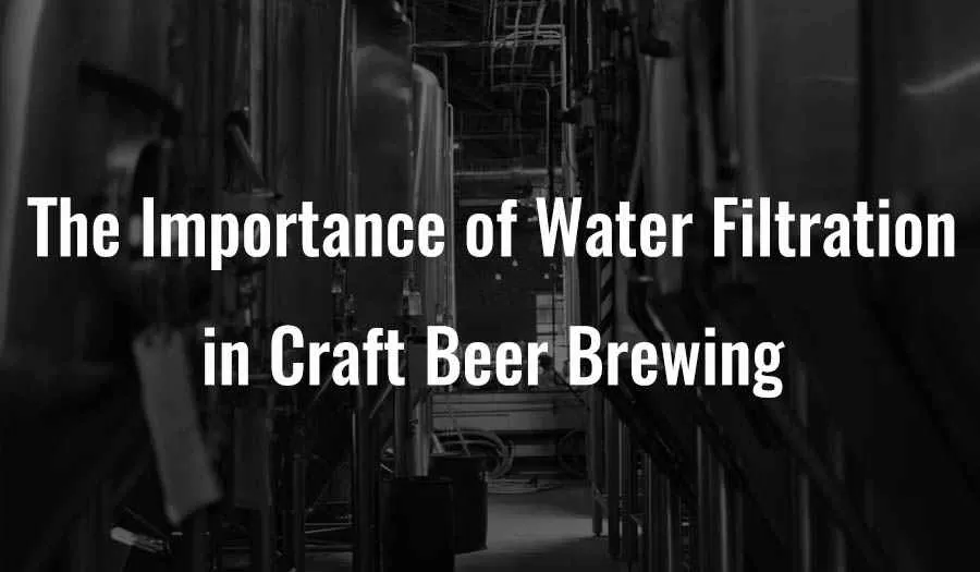 The Importance of Water Filtration in Craft Beer Brewing