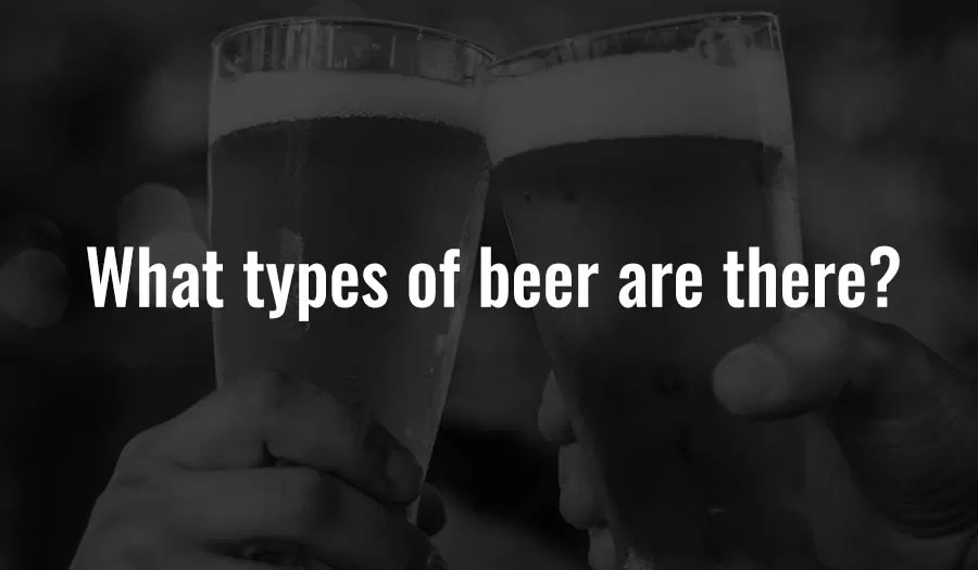 What types of beer are there?