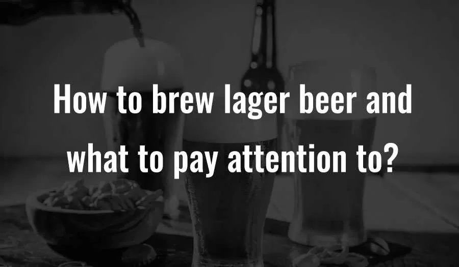 Как сварить светлое пиво и на что обратить внимание?