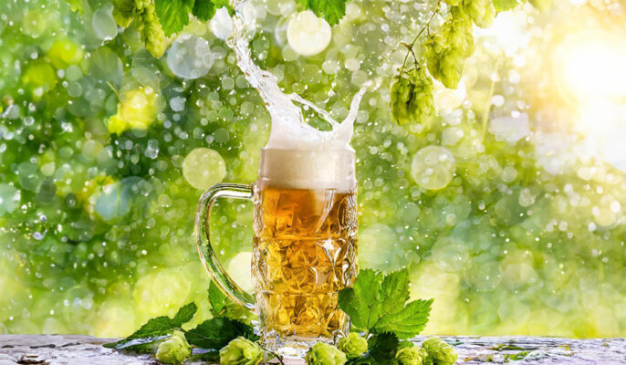 What is sustainable and eco-friendly brewing?