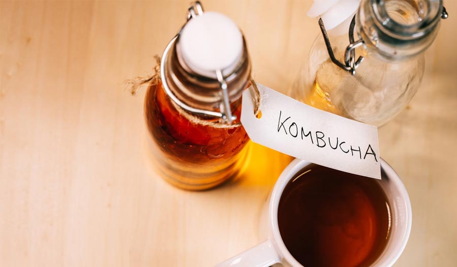 Di quale attrezzatura ho bisogno per fare il kombucha?